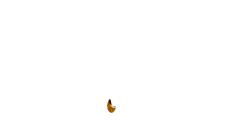 たっぷりオイル専門！ぬるスパのロゴ